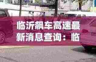 临沂飙车高速最新消息查询:临沂高速砸车事件后续