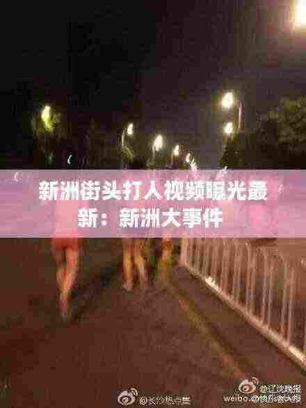 林下风气 第3页