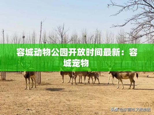 容城动物公园开放时间最新:容城宠物