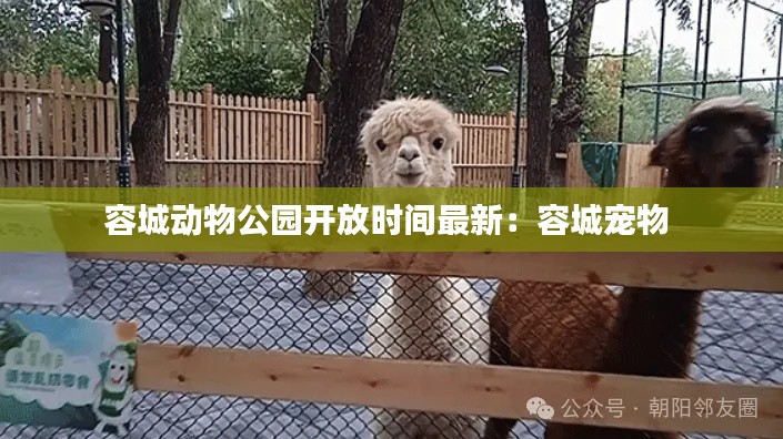 容城动物公园开放时间最新：容城宠物 