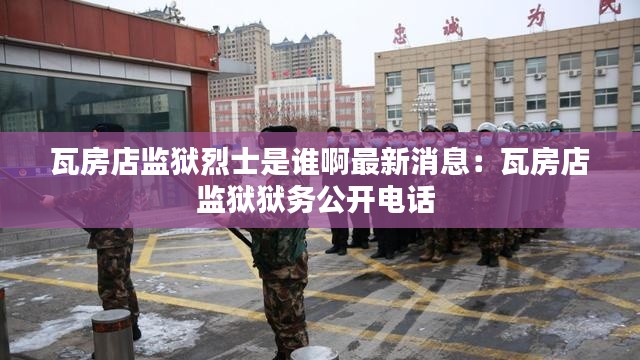 飞蝗芜湖 第4页