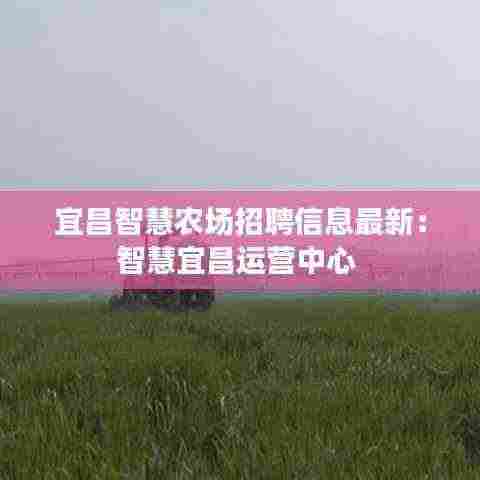 宜昌智慧农场招聘信息最新:智慧宜昌运营中心
