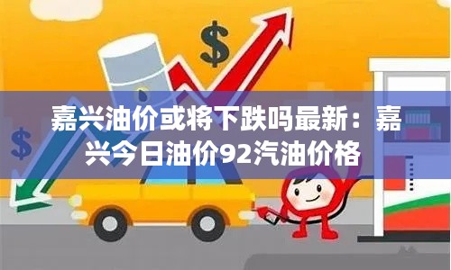 嘉兴油价或将下跌吗最新：嘉兴今日油价92汽油价格 