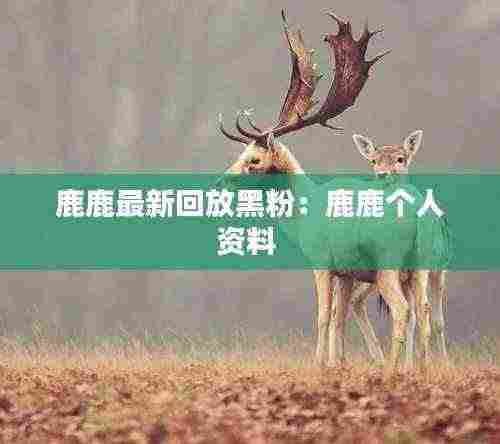 鹿鹿最新回放黑粉:鹿鹿个人资料