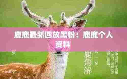 鹿鹿最新回放黑粉:鹿鹿个人资料