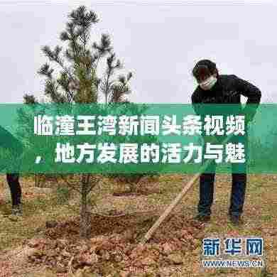 临潼王湾新闻头条视频,地方发展的活力与魅力全揭秘