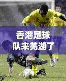 香港足球队来芜湖了吗最新消息:香港有足球联赛吗