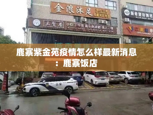 鹿寨紫金苑疫情怎么样最新消息:鹿寨饭店