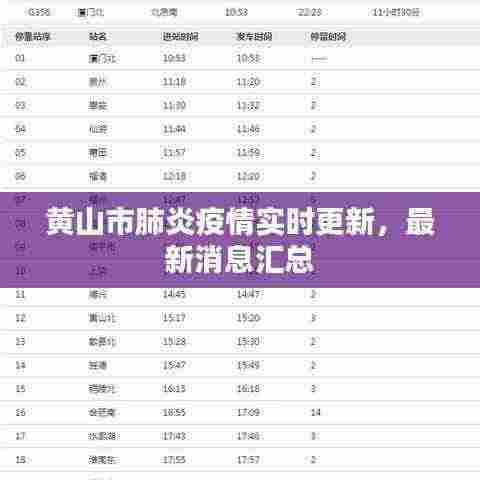 黄山市肺炎疫情实时更新,最新消息汇总