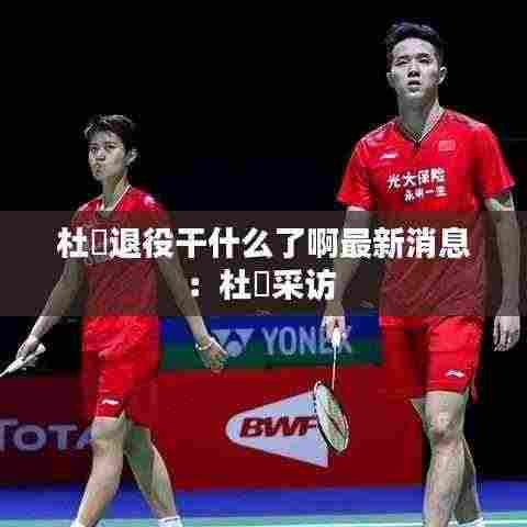 杜玥退役干什么了啊最新消息:杜玥采访