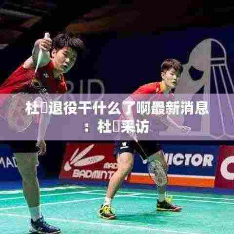 杜玥退役干什么了啊最新消息:杜玥采访