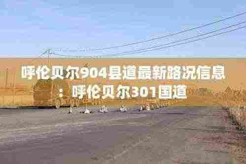 呼伦贝尔904县道最新路况信息:呼伦贝尔301国道