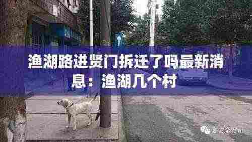渔湖路进贤门拆迁了吗最新消息:渔湖几个村