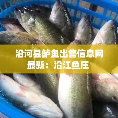 沿河县鲈鱼出售信息网最新:沿江鱼庄