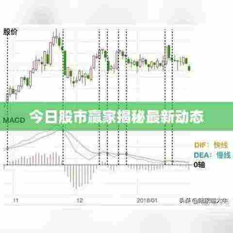 今日股市赢家揭秘最新动态