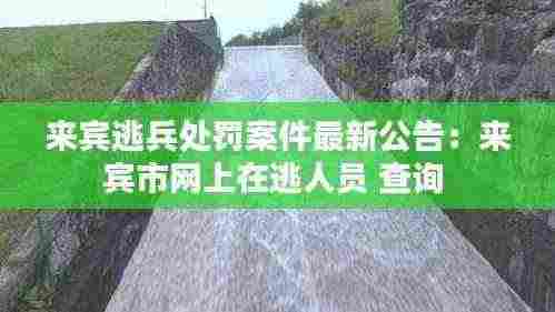 来宾逃兵处罚案件最新公告:来宾市网上在逃人员 查询