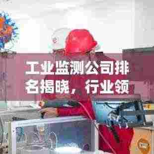 工业监测公司排名揭晓,行业领导者与趋势引领者的秘密榜单!