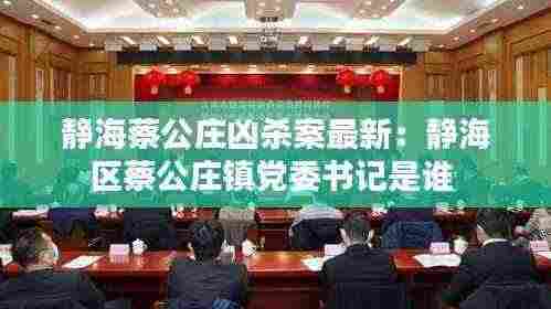 静海蔡公庄凶杀案最新:静海区蔡公庄镇党委书记是谁