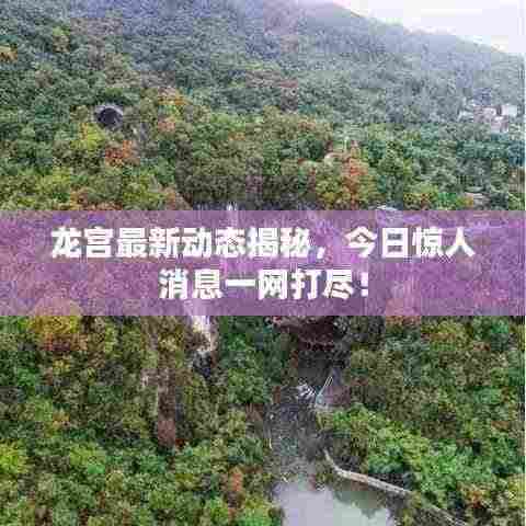 龙宫最新动态揭秘，今日惊人消息一网打尽！