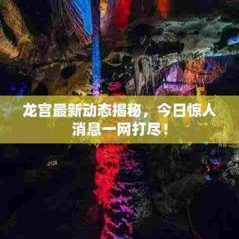 龙宫最新动态揭秘,今日惊人消息一网打尽!