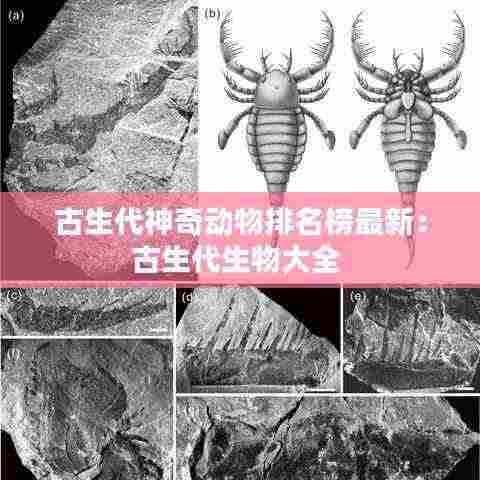古生代神奇动物排名榜最新:古生代生物大全