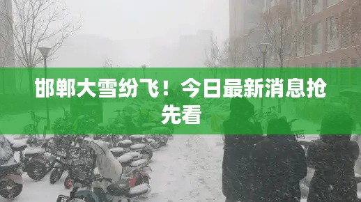 邯郸大雪纷飞!今日最新消息抢先看
