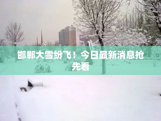 邯郸大雪纷飞!今日最新消息抢先看