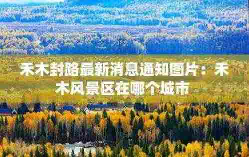 禾木封路最新消息通知图片：禾木风景区在哪个城市 