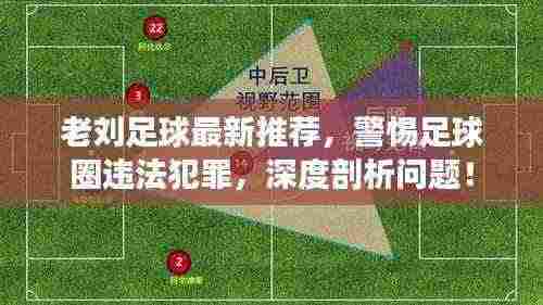 老刘足球最新推荐，警惕足球圈违法犯罪，深度剖析问题！