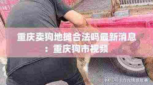 重庆卖狗地摊合法吗最新消息:重庆狗市视频