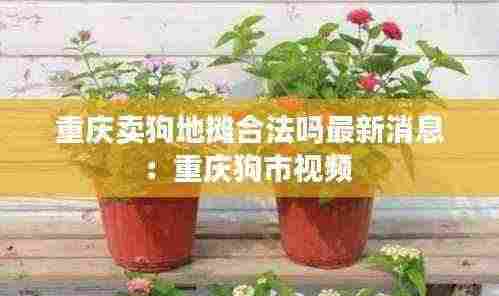 雅人韵士 第5页