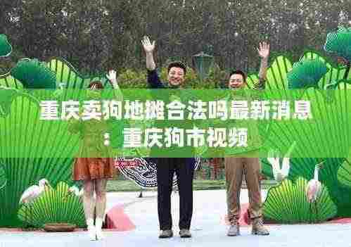 重庆卖狗地摊合法吗最新消息:重庆狗市视频