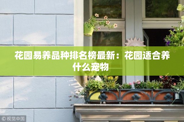 花园易养品种排名榜最新:花园适合养什么宠物