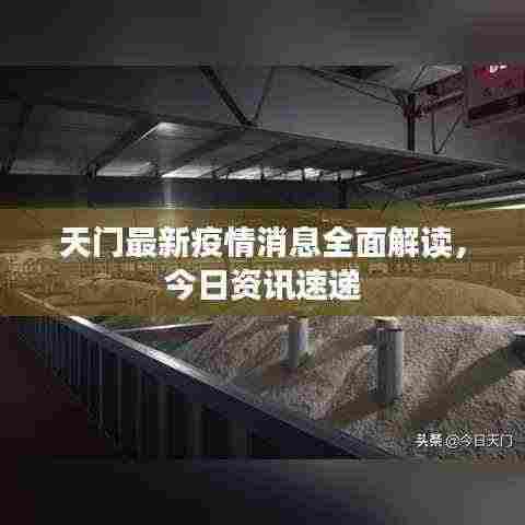 天门最新疫情消息全面解读,今日资讯速递