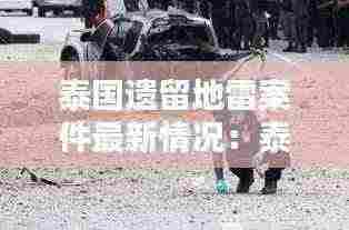 泰国遗留地雷案件最新情况:泰国遗憾