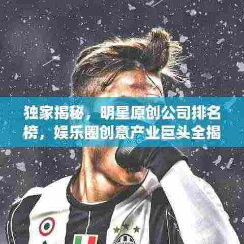 独家揭秘,明星原创公司排名榜,娱乐圈创意产业巨头全揭晓!