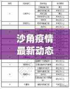 沙角疫情最新动态,今日更新消息重磅来袭!