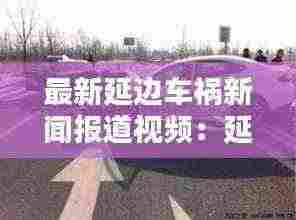 最新延边车祸新闻报道视频:延边特大新闻