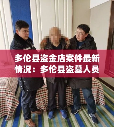 多伦县盗金店案件最新情况:多伦县盗墓人员姓名