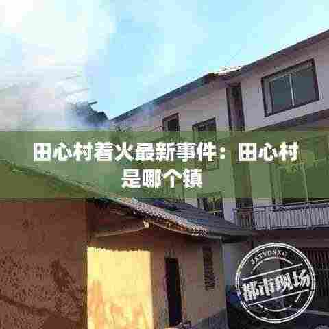 田心村着火最新事件:田心村是哪个镇