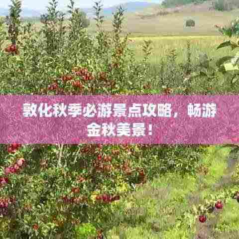 敦化秋季必游景点攻略,畅游金秋美景!