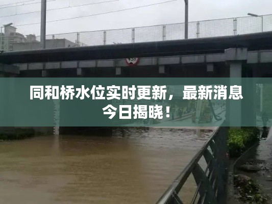 同和桥水位实时更新,最新消息今日揭晓!