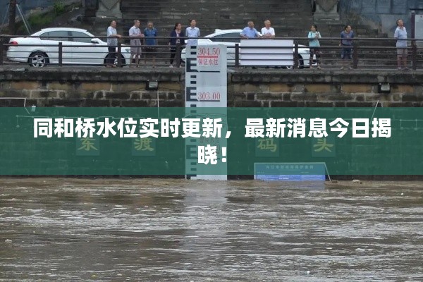 同和桥水位实时更新,最新消息今日揭晓!