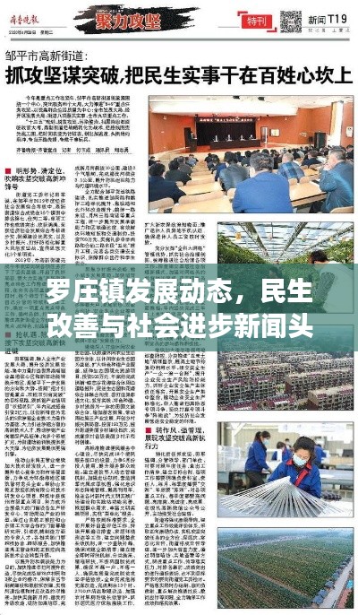 罗庄镇发展动态,民生改善与社会进步新闻头条速递