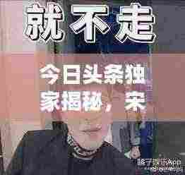 今日头条独家揭秘,宋忠石最新消息曝光,犯罪真相大揭秘!