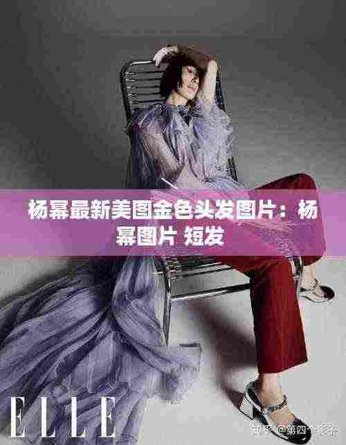 杨幂最新美图金色头发图片:杨幂图片 短发