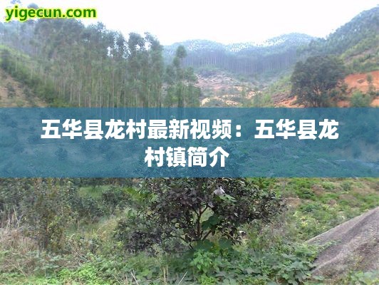 五华县龙村最新视频:五华县龙村镇简介