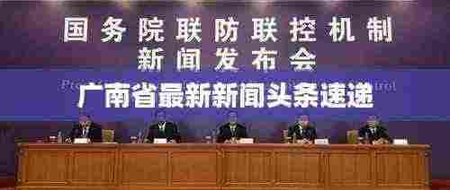 广南省最新新闻头条速递