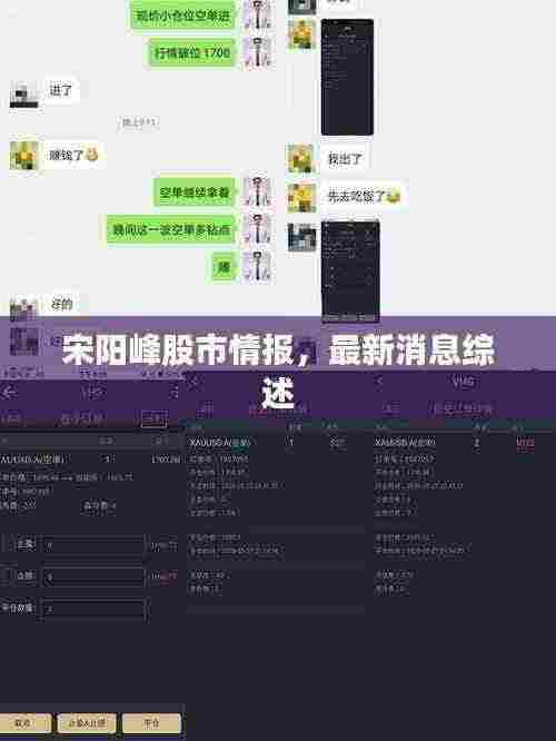 宋阳峰股市情报,最新消息综述