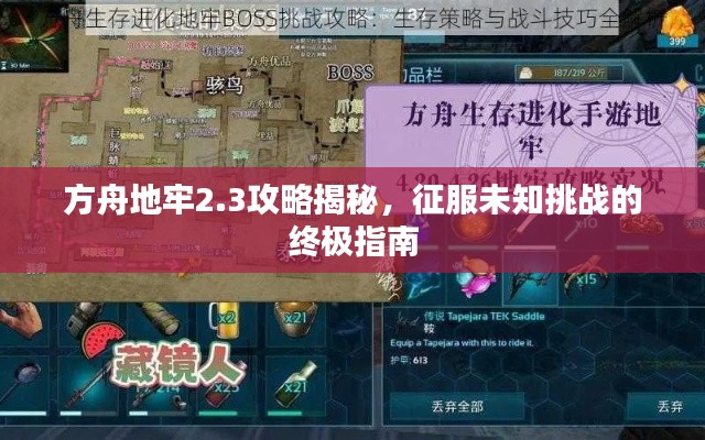 方舟地牢2.3攻略揭秘,征服未知挑战的终极指南